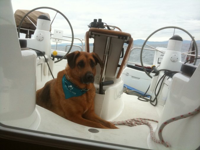 bruce-on-the-boat